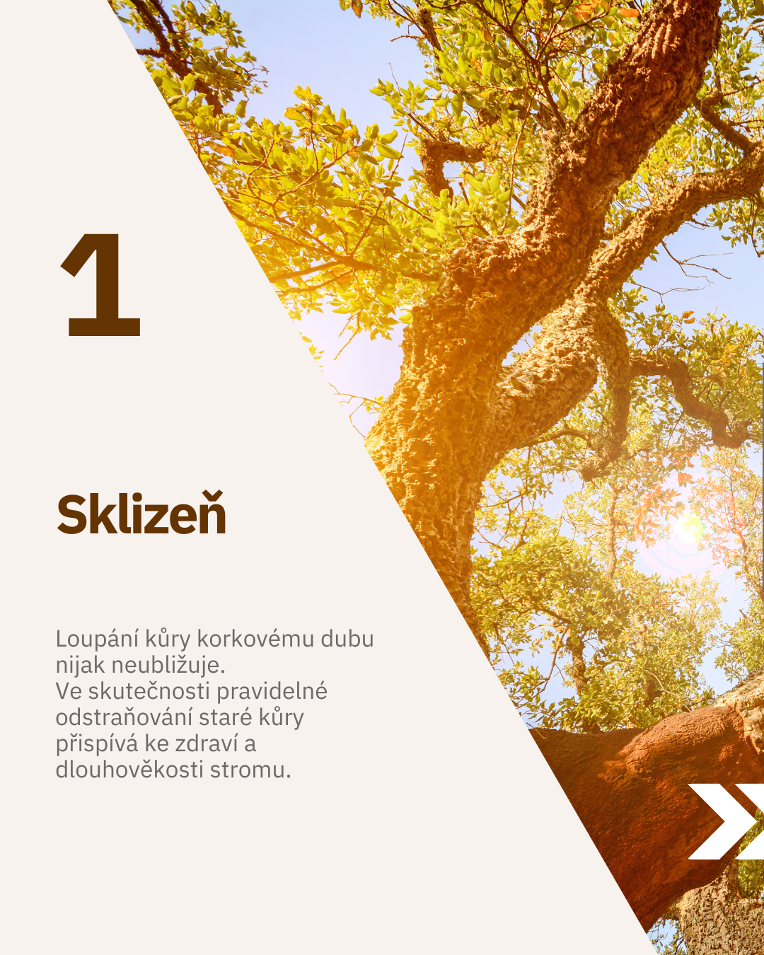 Ukázka 13